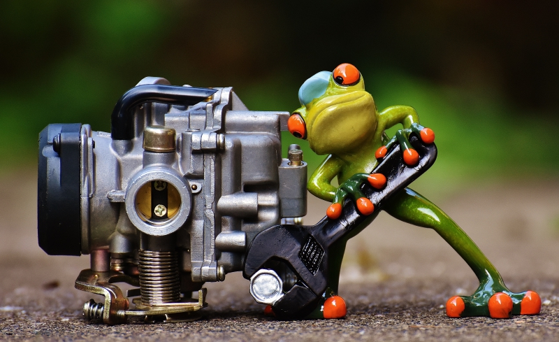 garagiste-LE THORONET-min_frog-1672974